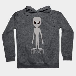 The Introverted Elusive Grey Hoodie